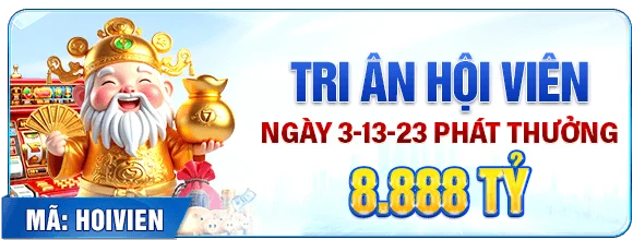 VIP Bonus Banner